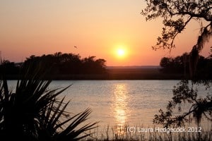 5 Minute Friday: Rest