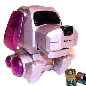 Family fibs removing batteries 