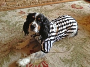 Re-live Fall Memories by Making New Ones 5 Fall Memories of Halloween