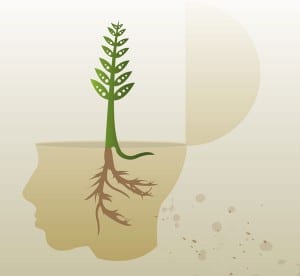 Preserving Family History Information