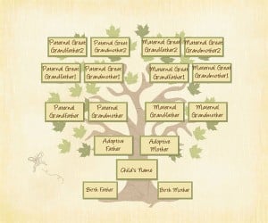 Adopted Genealogy has four roots