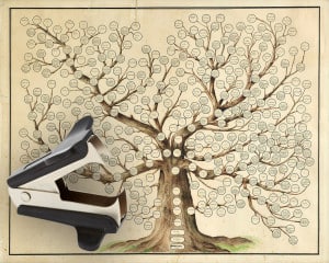 Cousin once removed by way of staple remover on family tree. 
