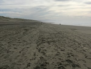 Leaving footprints on Ocean Beach