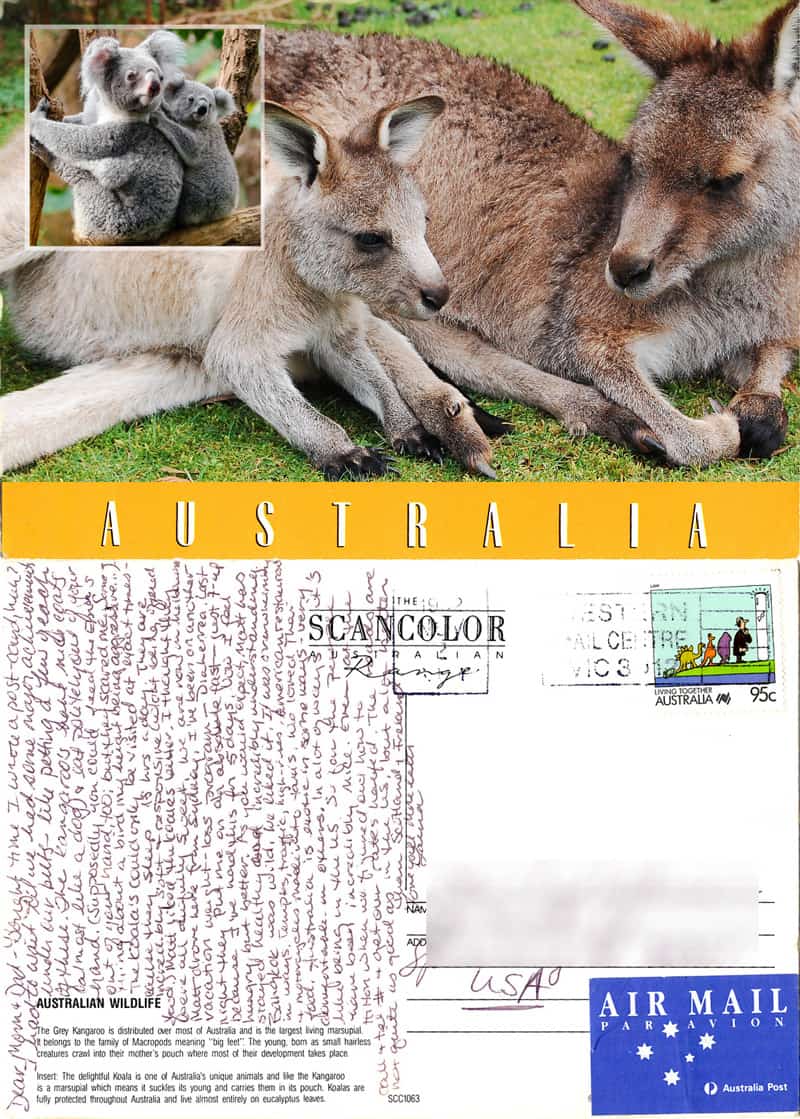 Writing Postcards: A Lost Art in Need of Revival 3 A mock of the front of the post card and the actual back