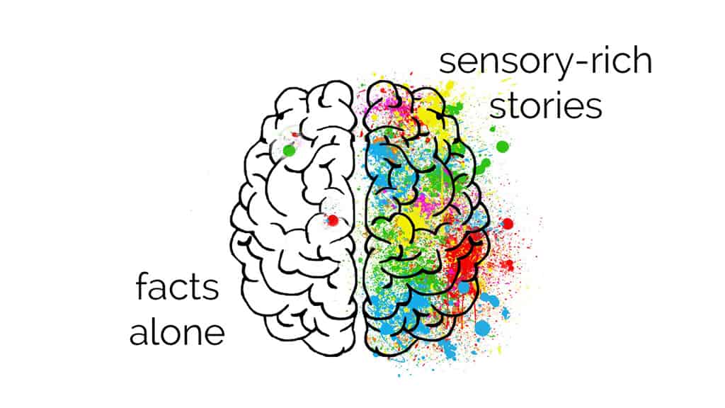 Authors illustration of brains on stories