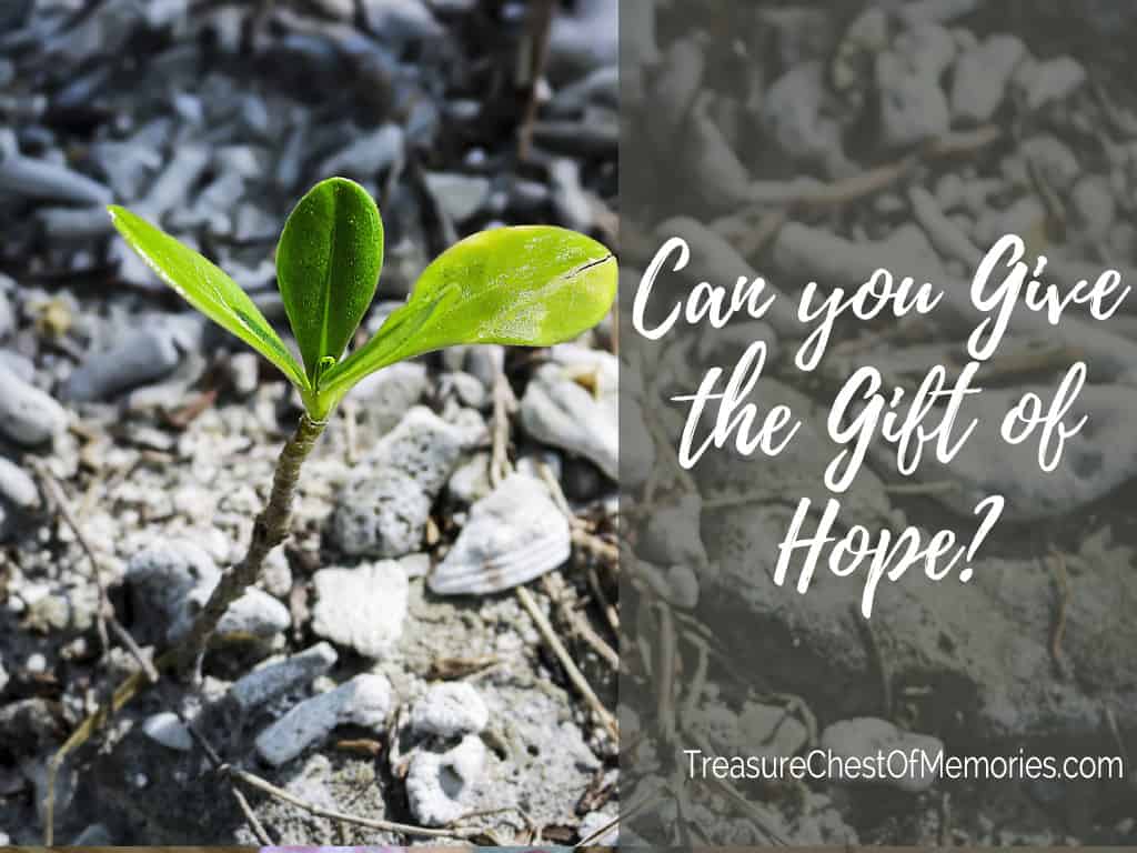 Can you give the Gift of Hope?